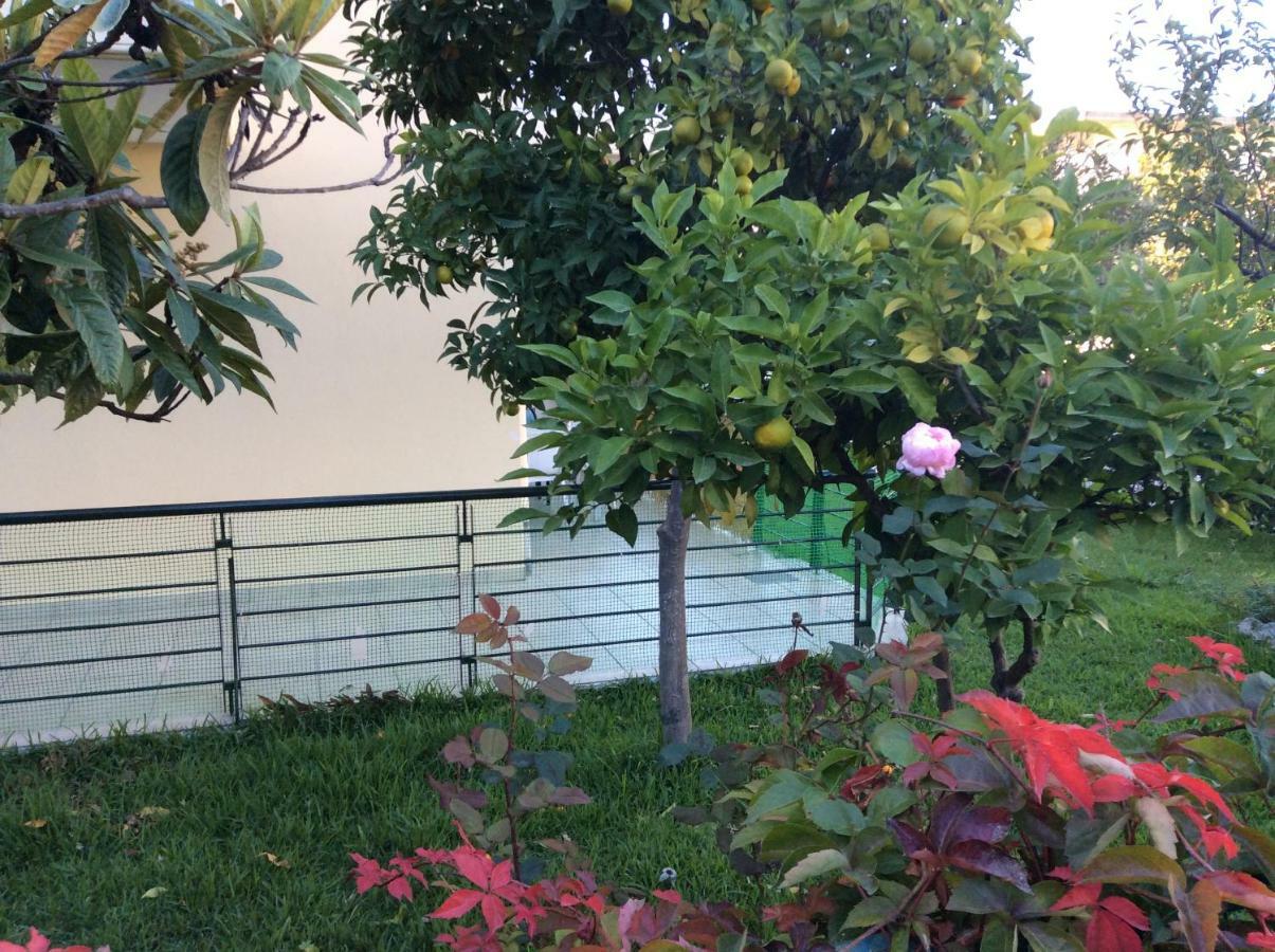 Ourania'S Apartments 卡梅纳维洛拉 外观 照片