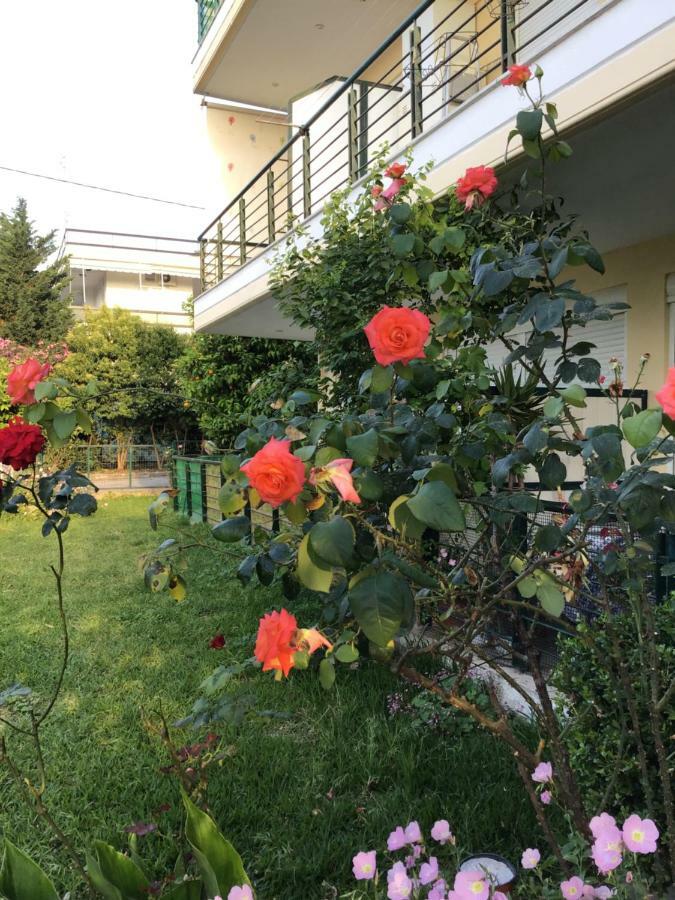 Ourania'S Apartments 卡梅纳维洛拉 外观 照片